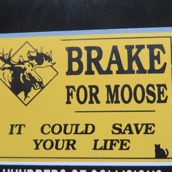 brake4moose